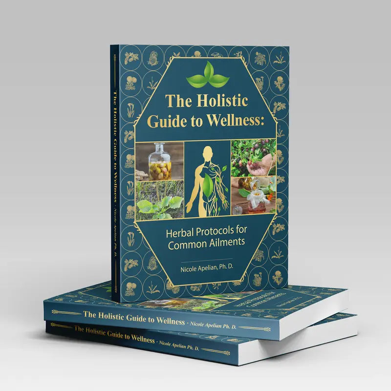 The Holistic Guide to Wellness: Herbal Protocols for Common Ailments