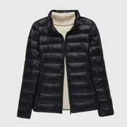 Black Stand Collar