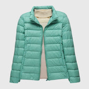 Turquoise Stand-up collar