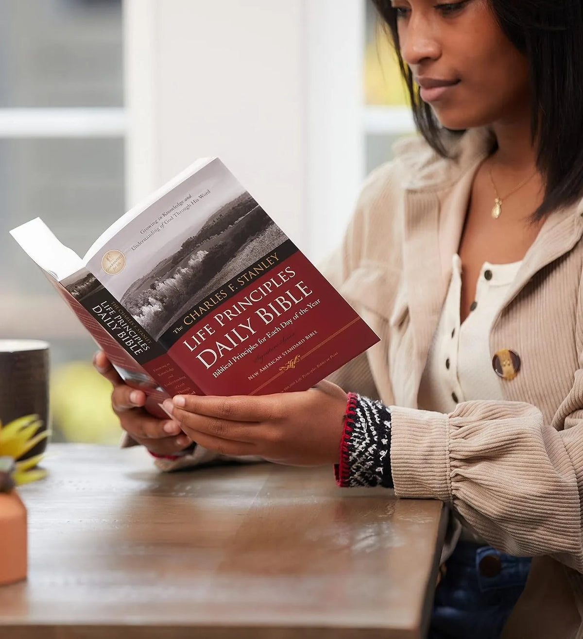 Life Principles Daily Bible preview 3